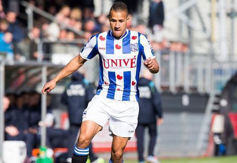 出极强的适 出极强的适